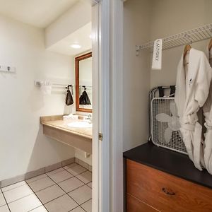 Pet Friendly King Room Garden View